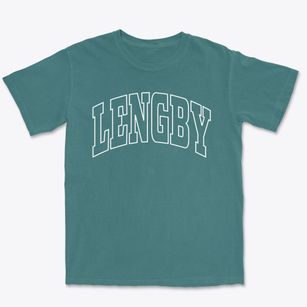 Lengby Minnesota Trendy Block Premium Heavyweight T-shirt