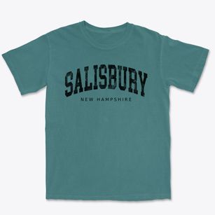 Salisbury New Hampshire Urban Vibe Premium Heavyweight T-shirt