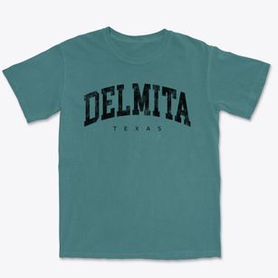 Delmita Texas Urban Vibe Premium Heavyweight T-shirt