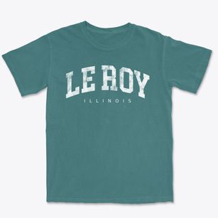 Le Roy Illinois Urban Vibe Premium Heavyweight T-shirt