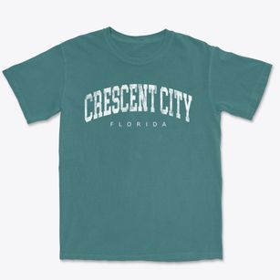 Crescent City Florida Urban Vibe Premium Heavyweight T-shirt
