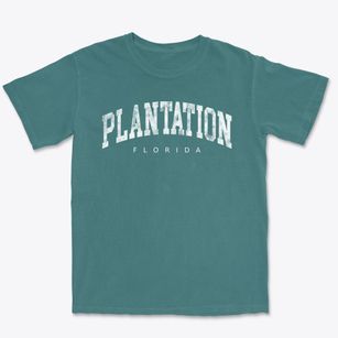 Plantation Florida Urban Vibe Premium Heavyweight T-shirt