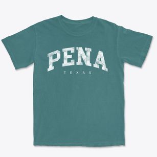 Pena Texas Urban Vibe Premium Heavyweight T-shirt