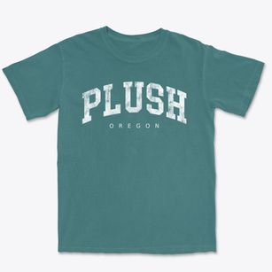 Plush Oregon Urban Vibe Premium Heavyweight T-shirt