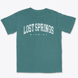 Lost Springs Wyoming Urban Vibe Premium Heavyweight T-shirt