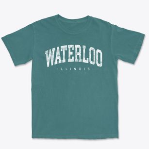 Waterloo Illinois Urban Vibe Premium Heavyweight T-shirt