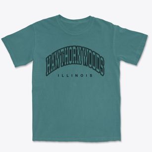Hawthorn Woods Illinois Inline Premium Heavyweight T-shirt