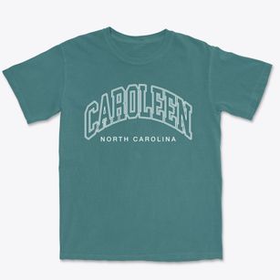 Caroleen North Carolina Inline Premium Heavyweight T-shirt