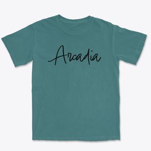 Arcadia Illinois Freestyle Premium Heavyweight T-shirt