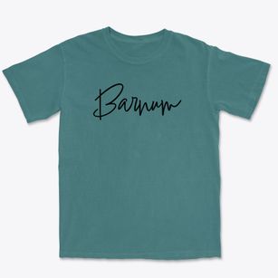 Barnum New York Freestyle Premium Heavyweight T-shirt