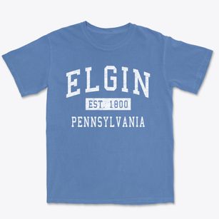 Elgin Pennsylvania Classic Established Premium Heavyweight T-shirt