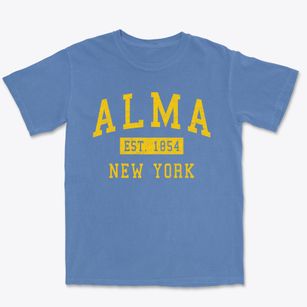 Alma New York Classic Established Premium Heavyweight T-shirt