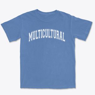 Multicultural Magnet School Varsity Arch Premium Heavyweight T-shirt