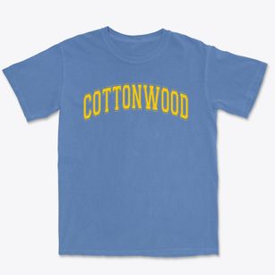 Cottonwood Elementary School Varsity Arch Premium Heavyweight T-shirt