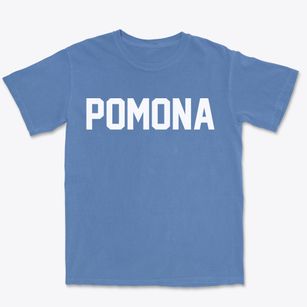Pomona New York Classic Block Premium Heavyweight T-shirt