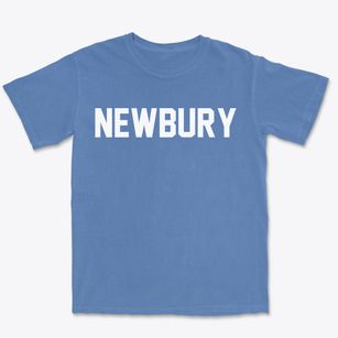Newbury New Hampshire Classic Block Premium Heavyweight T-shirt