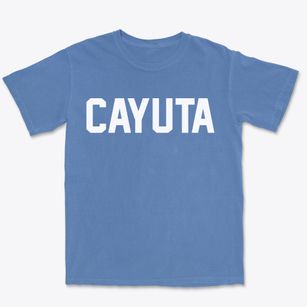 Cayuta New York Classic Block Premium Heavyweight T-shirt