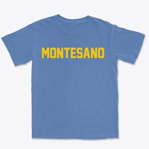 Montesano Washington Classic Block Premium Heavyweight T-shirt