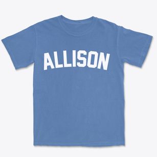 Allison Pennsylvania Classic Curve Premium Heavyweight T-shirt