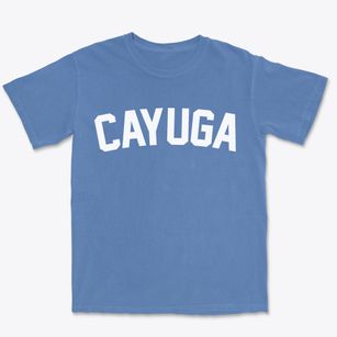 Cayuga New York Classic Curve Premium Heavyweight T-shirt