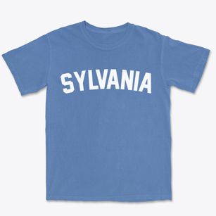 Sylvania Pennsylvania Classic Curve Premium Heavyweight T-shirt