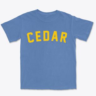 Cedar Michigan Classic Curve Premium Heavyweight T-shirt