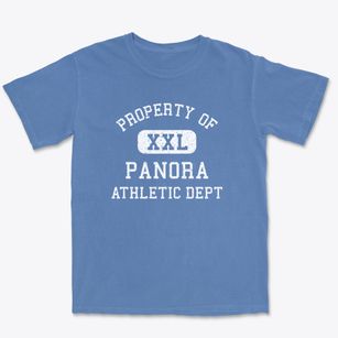 Panora Iowa Athletic Dept Premium Heavyweight T-shirt