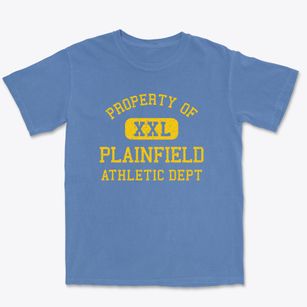 Plainfield Ohio Athletic Dept Premium Heavyweight T-shirt