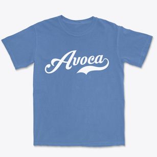 Avoca Pennsylvania Vintage Team Premium Heavyweight T-shirt