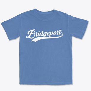 Bridgeport Alabama Vintage Team Premium Heavyweight T-shirt