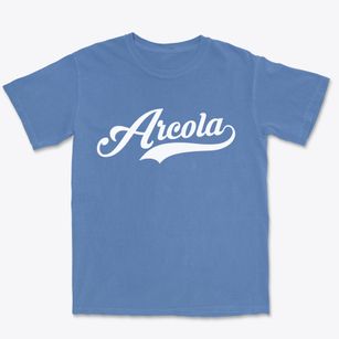 Arcola Texas Vintage Team Premium Heavyweight T-shirt