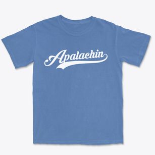 Apalachin New York Vintage Team Premium Heavyweight T-shirt