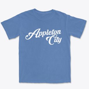 Appleton City Missouri Vintage Team Premium Heavyweight T-shirt