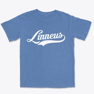 Linneus Missouri Vintage Team Premium Heavyweight T-shirt