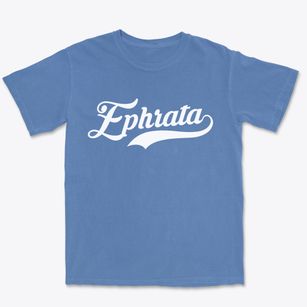 Ephrata Pennsylvania Vintage Team Premium Heavyweight T-shirt