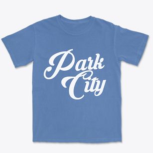 Park City Illinois Vintage Team Premium Heavyweight T-shirt