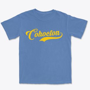 Cohocton New York Vintage Team Premium Heavyweight T-shirt