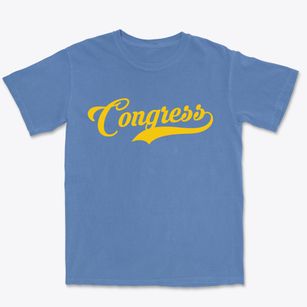 Congress Arizona Vintage Team Premium Heavyweight T-shirt