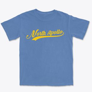 North Apollo Pennsylvania Vintage Team Premium Heavyweight T-shirt