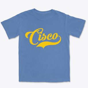 Cisco Illinois Vintage Team Premium Heavyweight T-shirt