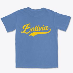 Bolivia North Carolina Vintage Team Premium Heavyweight T-shirt