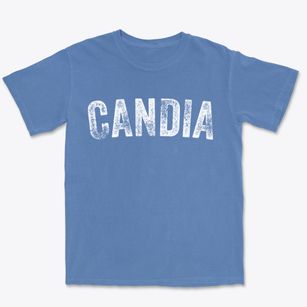 Candia New Hampshire Timeless Retro Premium Heavyweight T-shirt