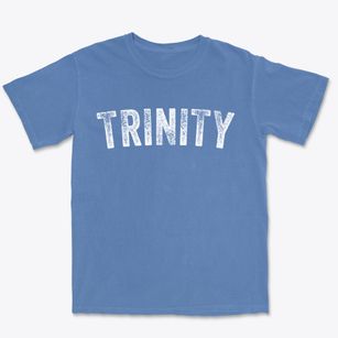 Trinity Texas Timeless Retro Premium Heavyweight T-shirt