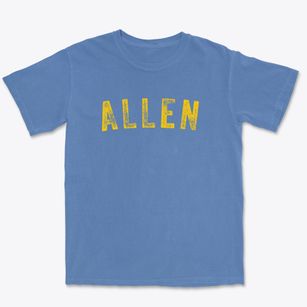 Allen Nebraska Timeless Retro Premium Heavyweight T-shirt