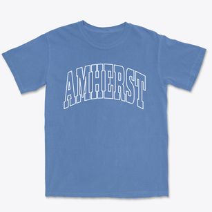 Amherst Nebraska Trendy Block Premium Heavyweight T-shirt