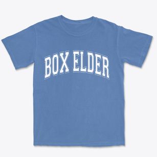 Box Elder South Dakota Varsity Premium Heavyweight T-shirt