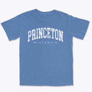Princeton Wisconsin Urban Vibe Premium Heavyweight T-shirt
