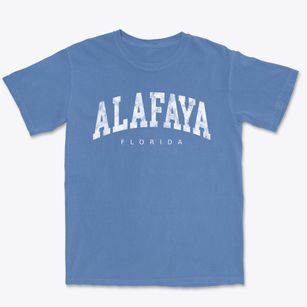 Alafaya Florida Urban Vibe Premium Heavyweight T-shirt