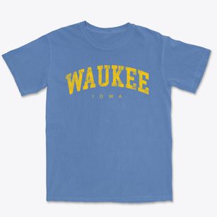 Waukee Iowa Urban Vibe Premium Heavyweight T-shirt