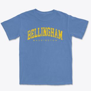 Bellingham Washington Urban Vibe Premium Heavyweight T-shirt